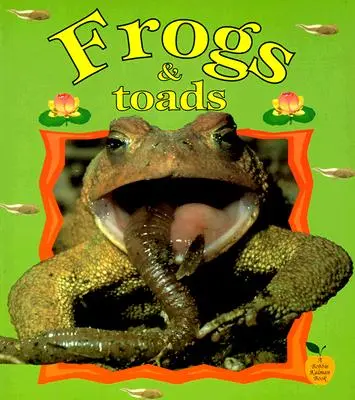 Żaby i ropuchy - Frogs & Toads