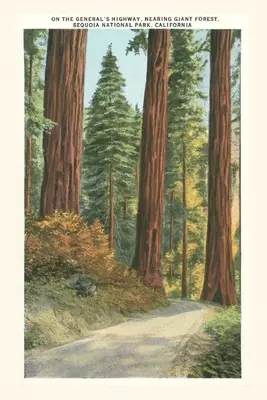 The Vintage Journal Park Narodowy Sekwoi - The Vintage Journal Sequoia National Park