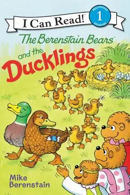 Niedźwiedzie Berenstain i kaczuszki - The Berenstain Bears and the Ducklings