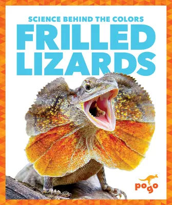 Jaszczurki faliste - Frilled Lizards