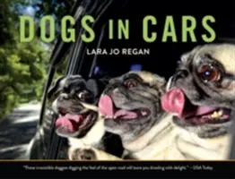 Psy w samochodach - Dogs in Cars