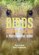 Ptaki Nowej Zelandii: Przewodnik fotograficzny - Birds of New Zealand: A Photographic Guide