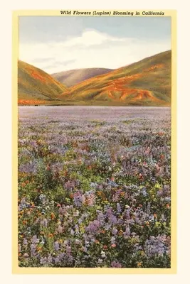 The Vintage Journal Dzikie kwiaty w Kalifornii - The Vintage Journal Wildflowers in California