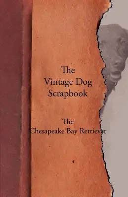 The Vintage Dog Scrapbook - Pies rasy Chesapeake Bay Retriever - The Vintage Dog Scrapbook - The Chesapeake Bay Retriever