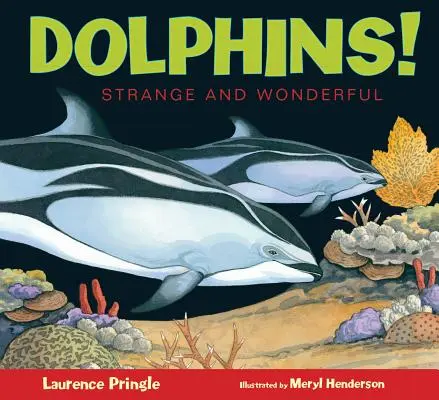 Delfiny! - Dolphins!