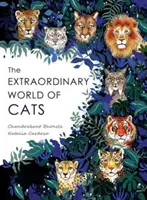 Niezwykły świat kotów - Extraordinary World of Cats