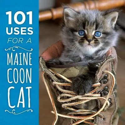 101 zastosowań kota rasy Maine Coon - 101 Uses for a Maine Coon Cat