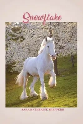 Płatek śniegu - Snowflake