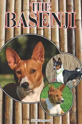 Basenji: Kompletny i kompleksowy przewodnik dla początkujących: Zakup, posiadanie, zdrowie, pielęgnacja, szkolenie, posłuszeństwo, zrozumienie - The Basenji: A Complete and Comprehensive Beginners Guide To: Buying, Owning, Health, Grooming, Training, Obedience, Understanding