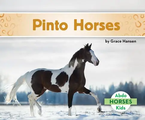 Konie pinto - Pinto Horses