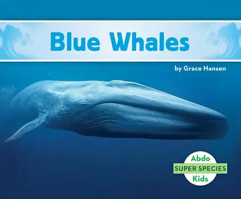Błękitne wieloryby - Blue Whales
