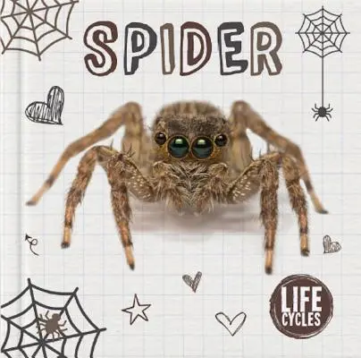 Pająk - Spider