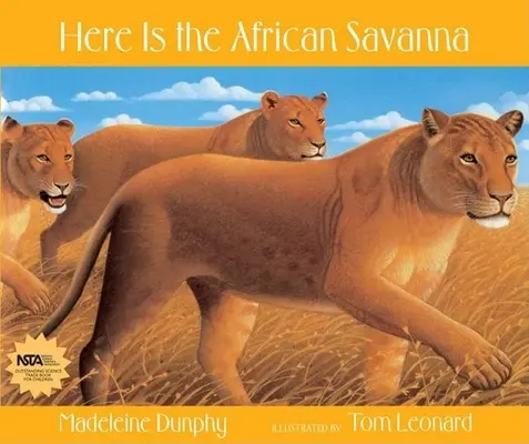 Oto afrykańska sawanna - Here Is the African Savanna