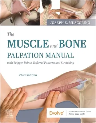 Podręcznik palpacji mięśni i kości z punktami spustowymi, wzorcami skierowań i rozciąganiem - The Muscle and Bone Palpation Manual with Trigger Points, Referral Patterns and Stretching