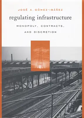 Regulacja infrastruktury: Monopol, kontrakty i dyskrecja - Regulating Infrastructure: Monopoly, Contracts, and Discretion