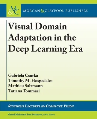 Adaptacja domeny wizualnej w erze głębokiego uczenia się - Visual Domain Adaptation in the Deep Learning Era