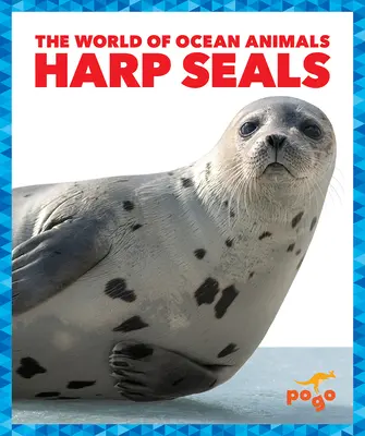 Foki harfowe - Harp Seals