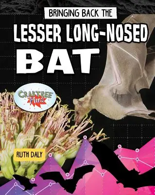 Przywracanie nietoperza nizinnego - Bringing Back the Lesser Long-Nosed Bat