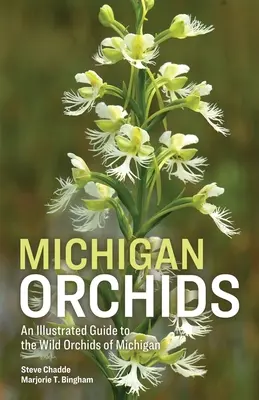 Storczyki Michigan - Michigan Orchids