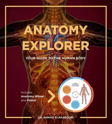 Anatomy Explorer