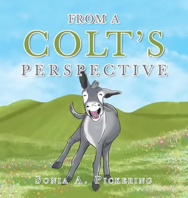 Z perspektywy Colta - From a Colt's Perspective