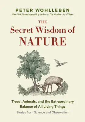 Sekretna sieć natury: Drzewa, zwierzęta i niezwykła równowaga wszystkich żywych istot - historie z nauki i obserwacji - The Secret Network of Nature: Trees, Animals, and the Extraordinary Balance of All Living Things-- Stories from Science and Observation