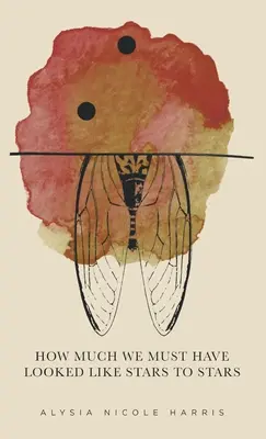 Jak bardzo musieliśmy wyglądać jak gwiazdy dla gwiazd: Zwycięzca New Women's Voices Series 2015 - How Much We Must Have Looked Like Stars To Stars: Winner of the 2015 New Women's Voices Series