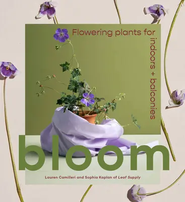 Bloom: Rośliny kwitnące do wnętrz i na balkony - Bloom: Flowering Plants for Indoors and Balconies