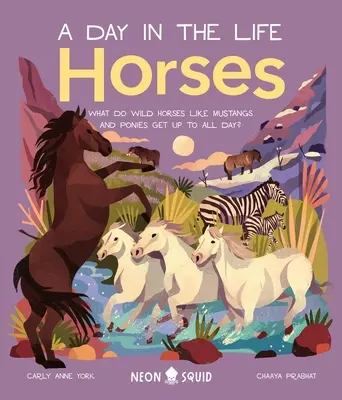 Konie (dzień z życia): Co dzikie konie, takie jak mustangi i kuce, robią przez cały dzień? - Horses (a Day in the Life): What Do Wild Horses Like Mustangs and Ponies Get Up to All Day?