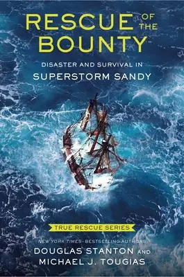 True Rescue 6: Rescue of the Bounty (Young Readers Edition): Katastrofa i przetrwanie podczas burzy piaskowej - True Rescue 6: Rescue of the Bounty (Young Readers Edition): Disaster and Survival in Superstorm Sandy