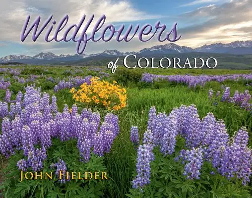 Dzikie kwiaty Kolorado - Wildflowers of Colorado