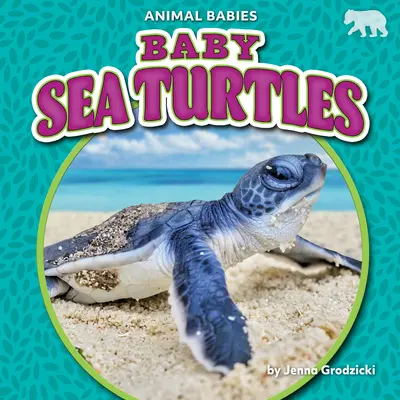 Małe żółwie morskie - Baby Sea Turtles