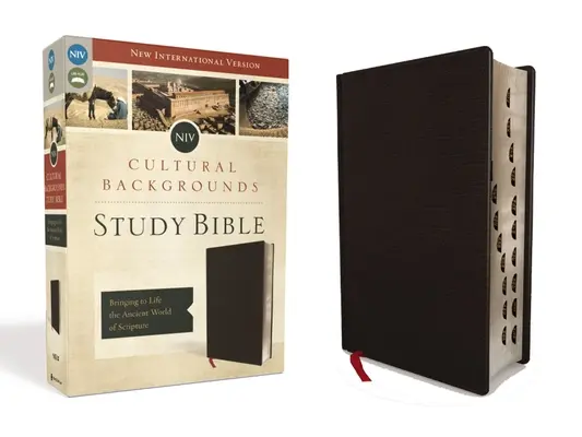 NIV, Biblia do studiowania tła kulturowego, indeksowana, oprawiona w skórę: Ożywia starożytny świat Pisma Świętego - NIV, Cultural Backgrounds Study Bible, Indexed, Bonded Leather: Bringing to Life the Ancient World of Scripture