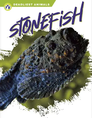 Rzekotka - Stonefish