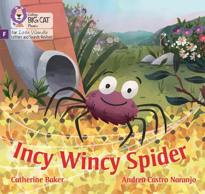 Incy Wincy Spider - podstawy fonetyki - Incy Wincy Spider - Foundations for Phonics