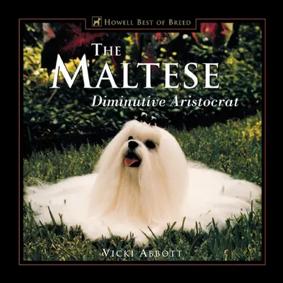 Maltańczyk: Drobny arystokrata - The Maltese: Diminutive Aristocrat