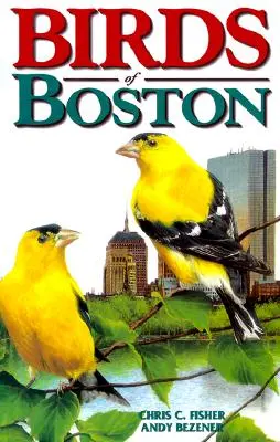 Ptaki Bostonu - Birds of Boston