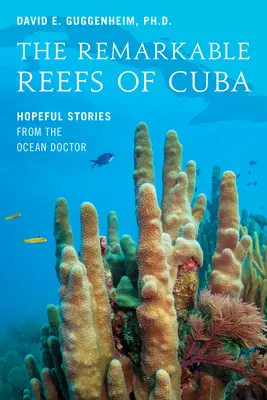 Niezwykłe rafy Kuby: pełne nadziei opowieści lekarza oceanów - The Remarkable Reefs of Cuba: Hopeful Stories from the Ocean Doctor