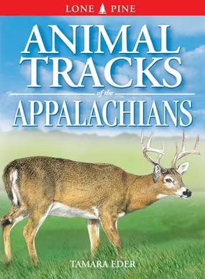 Tropy zwierząt w Appalachach - Animal Tracks of the Appalachians