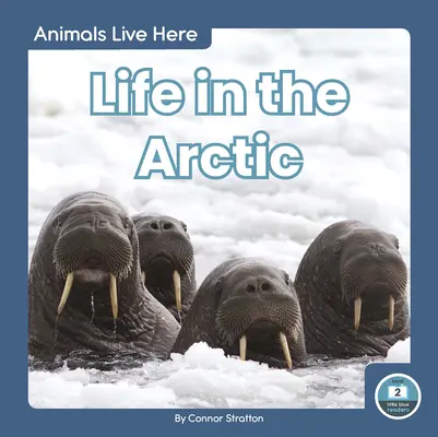 Życie w Arktyce - Life in the Arctic