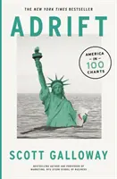 Adrift - 100 wykresów, które ujawniają, dlaczego Ameryka jest na krawędzi zmian - Adrift - 100 Charts that Reveal Why America is on the Brink of Change