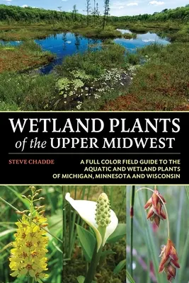 Rośliny mokradłowe górnego środkowego zachodu - Wetland Plants of the Upper Midwest