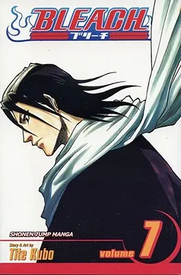Bleach, Vol. 7: Volume 7