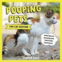 Pooping Pets: The Cat Edition - przezabawne zdjęcia kotków robiących kupę - Pooping Pets: The Cat Edition - Hilarious Snaps of Kitties Taking a Dump