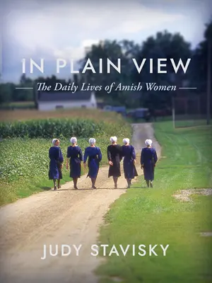 In Plain View: Codzienne życie kobiet amiszów - In Plain View: The Daily Lives of Amish Women