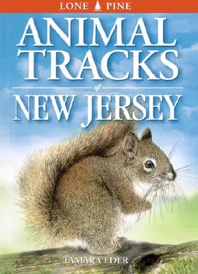 Ślady zwierząt w New Jersey - Animal Tracks of New Jersey