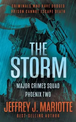 The Storm: Policyjna seria proceduralna - The Storm: A Police Procedural Series