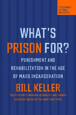 Po co jest więzienie: kara i resocjalizacja w erze masowego uwięzienia? - What's Prison For?: Punishment and Rehabilitation in the Age of Mass Incarceration