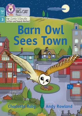 Sowa widzi miasto - Faza 3 Zestaw 1 Ćwiczenie mieszania - Barn Owl Sees Town - Phase 3 Set 1 Blending Practice