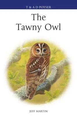 Puszczyk - The Tawny Owl